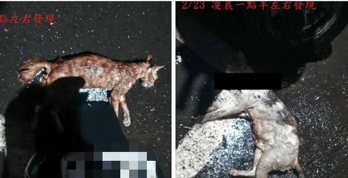 ���W�H�q�}�]�A���]������v�]�j�����ʯ}�w�V