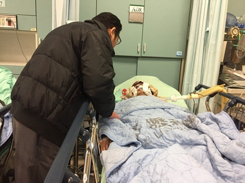 �s�ݷR���������ߒ�W�ޕ���Y66�����K�����n�j��ݐޥ��g���ŲM�L���~�k�\�{�ԡ׳���