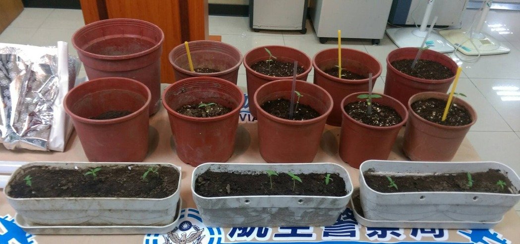 ~áՒܯФڳ W~ ~áՒܯФڳ W~