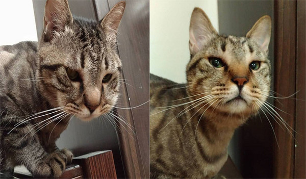 �l�]�꾿�X�~�K��� ���A�����y�\�˔U�X�֤߯k