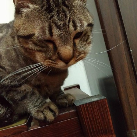 �l�]�꾿�X�~�K��� ���A�����y�\�˔U�X�֤߯k