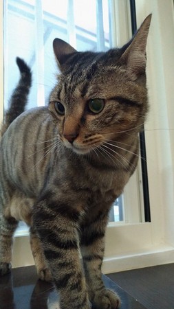 �l�]�꾿�X�~�K��� ���A�����y�\�˔U�X�֤߯k