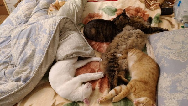 �l�]�꾿�X�~�K��� ���A�����y�\�˔U�X�֤߯k