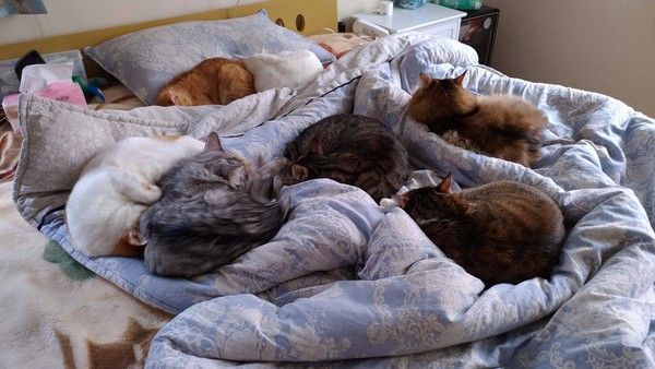 �l�]�꾿�X�~�K��� ���A�����y�\�˔U�X�֤߯k