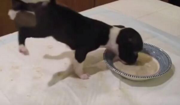 ��W�N�@�r�o�i"�u�|�I��" �Z�}���L�180���r����