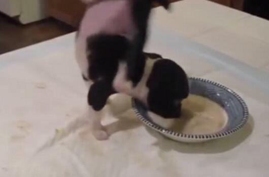 ��W�N�@�r�o�i"�u�|�I��" �Z�}���L�180���r����