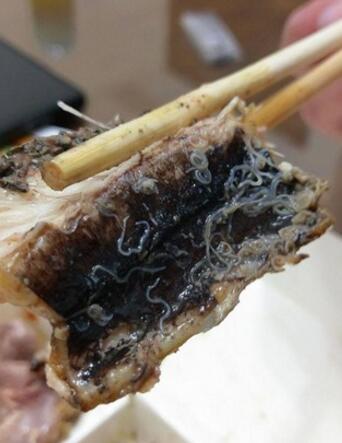 �e�����e���r���}�L�e�e�`�v�ˡ� �I�͐��_�쥽��