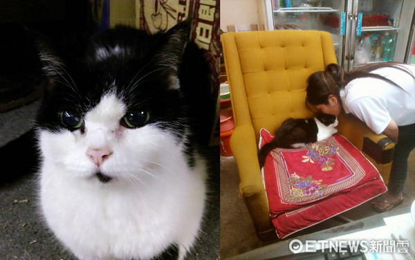 "pp"fd hҥ:˒ɧڒʒԔeS "pp"fd hҥ:˒ɧڒʒԔeS