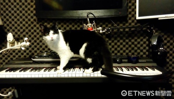 "pp"fd hҥ:˒ɧڒʒԔeS "pp"fd hҥ:˒ɧڒʒԔeS