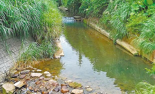 �e�V���~��ΐ��ޱ�V��E���w�����Β�g�q�s