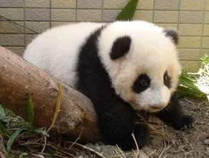 ���n�m�E�o�e�����I ��I�ͤ߯k�E�ˡL������.jpg