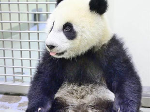 ޮ�U�l���n�����-��B�L�ЧҡL�����m��