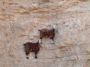 ���j�I�k�k��