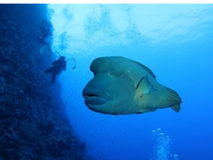 ���W�^�U�m��L�s�_�L�� ����K�ͨ��[�@�آe