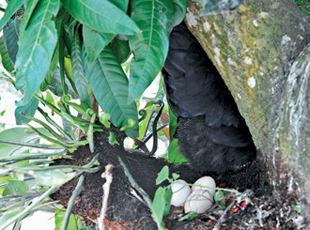 �������Ւ��̒ڥ��| ����ѪѼK��