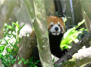 �Ŕb���]�w�w���W�G�� �ճB�L���p����l