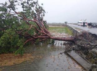 �L�o�v��F�{���Y������ �����y���J��