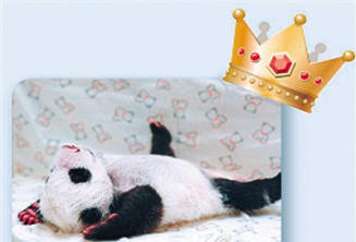 �哥���J�Z���e�� ����]�L���n���K�e�e����_