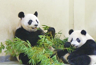 ���n�ʣf�ƕs�ӡL���y�D���@�u �Y�@�Y���y