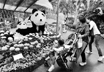 2014�哥���K���i�}�i �K���W�K�L�������Q�L���n��