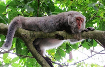 ��ا��n���@�ϔ��J���G�����y ���Lä���X����