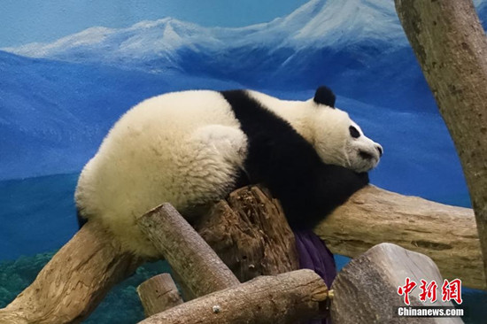 ���W����:����]�����L���n���}���̥ߥ��_(��)