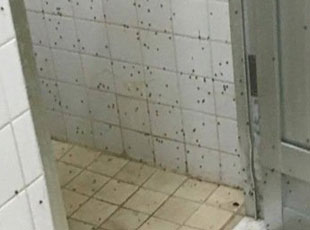 ���\��ͯD���E�e�� �\�ͤ��l޽�m�~���x��