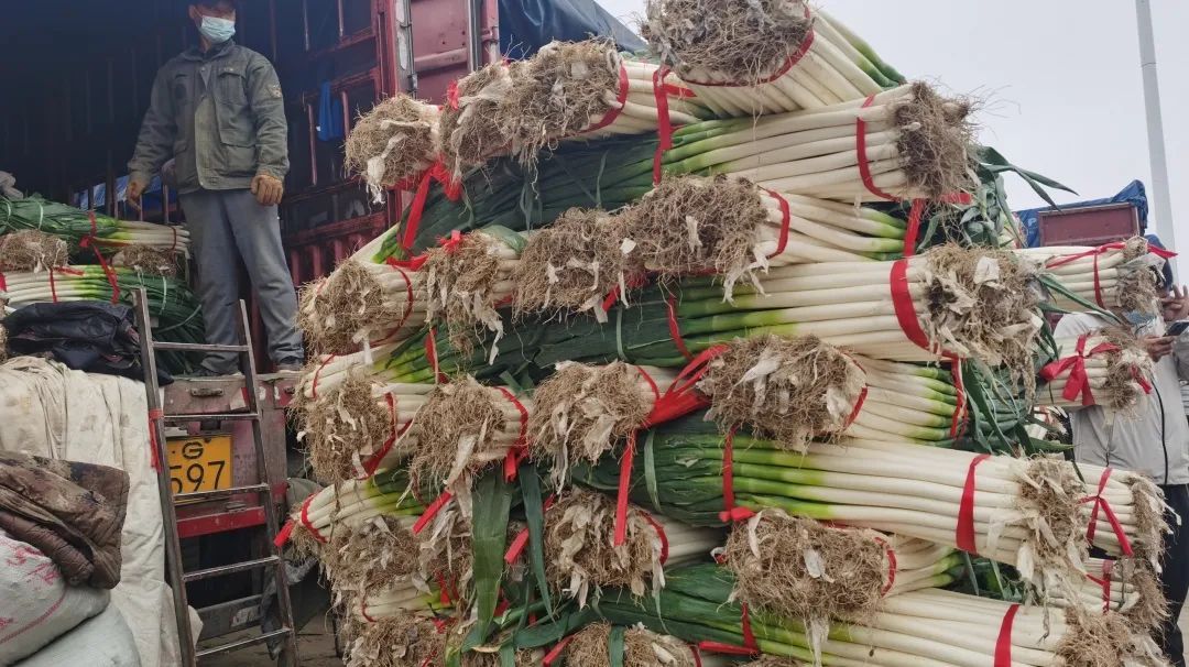 ���������ȥ𥫐޷s��H�W��ڥ��������`�L���@����ܓv�i