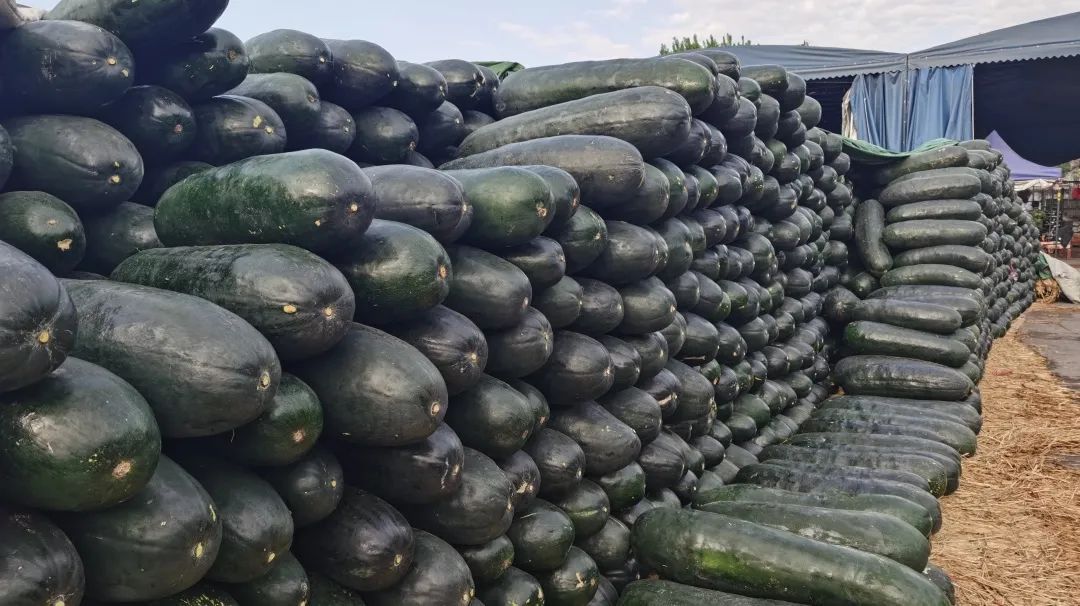 ���������ȥ𥫐޷s��H�W��ڥ��������`�L���@����ܓv�i