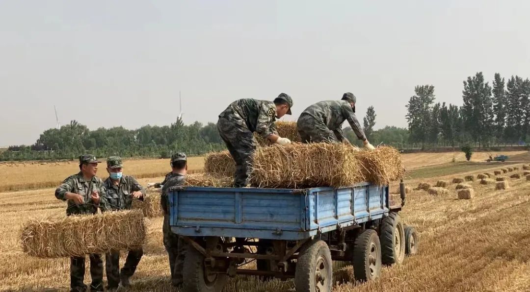 ���D���Y���n�ααΣO�I��������v���