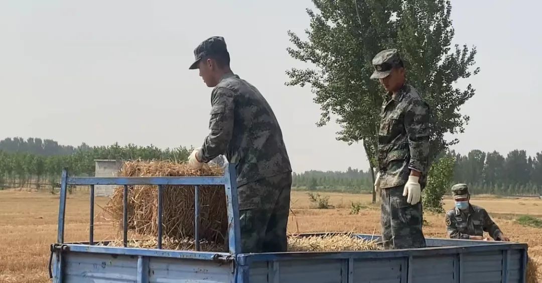 ���D���Y���n�ααΣO�I��������v���