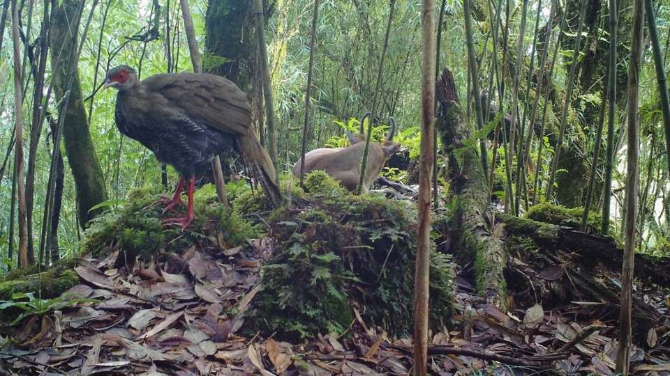 �����֢Q�|����h�s�r���[��գ��P���@���J�L���ס����_�e��