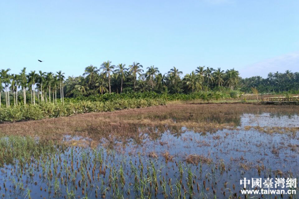 �����Z�v��