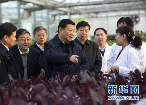 2013�e11��27��ؤȐ޵������I���F������̴\�|�J�~�Ʃ���ɵz����̧ީӷs���x�� �s�a�_�~�k�̦O�� ��