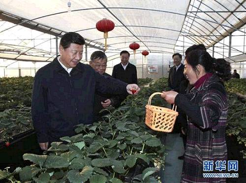 2014�e12��13��ؤȐ޵������I���o�����{�[�d򧰨�g�������Z������L���t�H��������������x��s�a�_�~�k �^�Օd ��