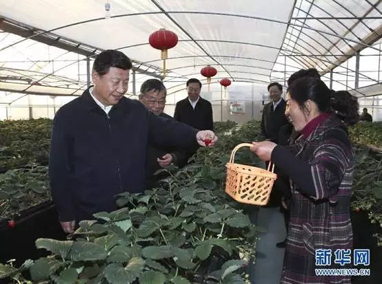 �L���y�����ː����������Y�L����Ͳ��