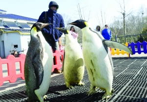 �H�����w���Z�s���ԳZ �bͮ�|���ߤӿ�(��)