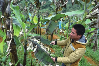 �����H���P�����H�[���� ���ԼQ���`�A�����`�~