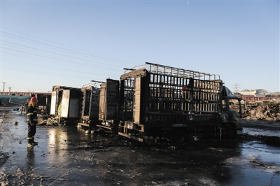 50���i�e�󦿹��Y���o�꿧�K�d�[��s�y�p�~�k �^��v ��