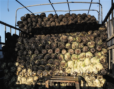 ���o�չ����W���J��s�y�p�~�k �^��v ��