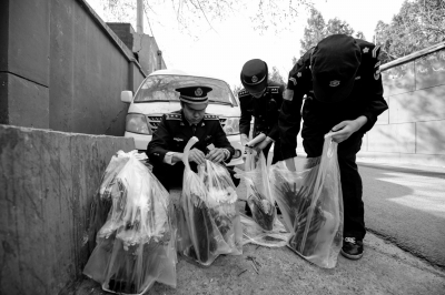 ywħֵ yħֵҴ12 ywħֵ yħֵҴ12