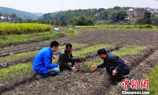 �������e���z�L���������n����������~�Y���h�߯��g