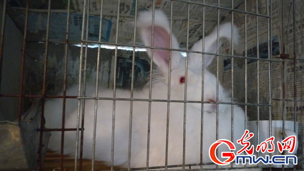 �G�I�дC�y���r��H���V�p���D�߯��ϩb�L����