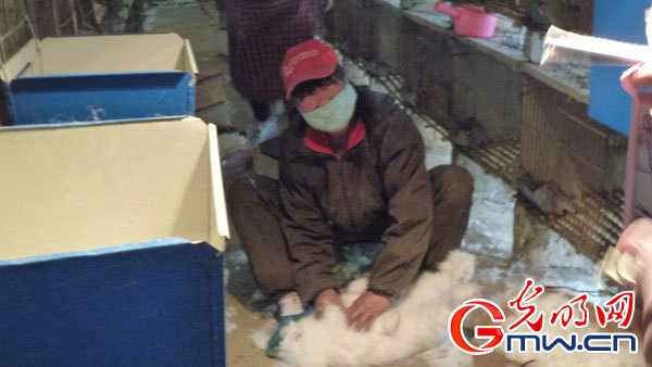 �G�I�дC�y���r��H���V�p���D�߯��ϩb�L����