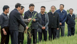 �������m�ޒ��畻�����ä����ߵ{