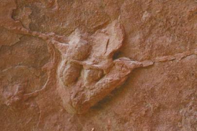 ��Z�����Y���s�i���