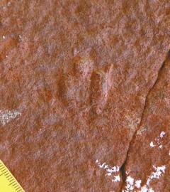 �{���Y���s�i���