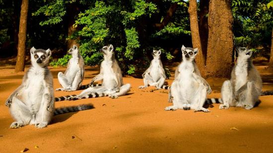 ���h�|��3400���e�g�ƥ� �B�F���N�Ĥƻ��ֳ���