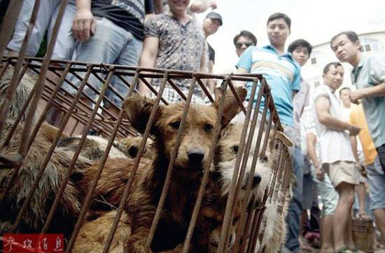 �ĴC���J��ä���B�H�ظG�N�����t�{�����\�^