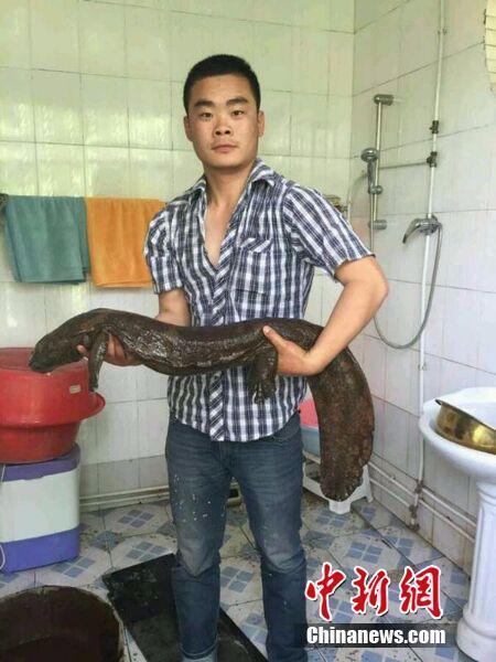 �̼w���H�}���ˡL���ܨ��� �e�x��80�O��(��)